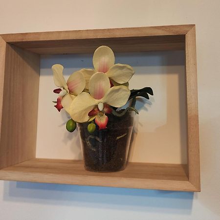 Apartament El Cielo De Fomento Gijón Zewnętrze zdjęcie